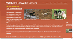 Desktop Screenshot of mitchellsllewellinsetters.com